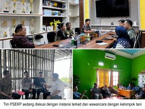 Menuju Swasembada: Tantangan dan Harapan di Balik Cetak Sawah dan Optimalisasi Lahan di Kalimantan Tengah